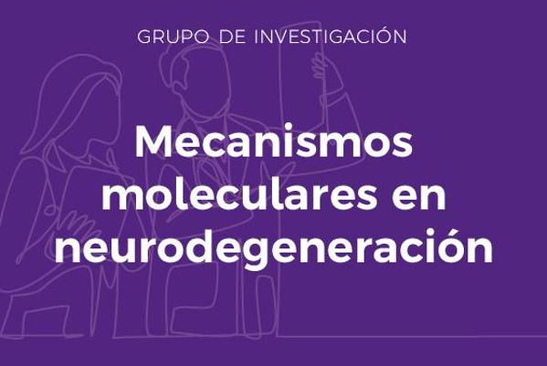Foto de Mecanismos Moleculares en Neurodegeneración (MMN)