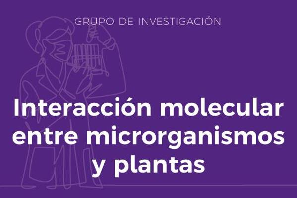 Foto de Interacción molecular entre microrganismos y plantas