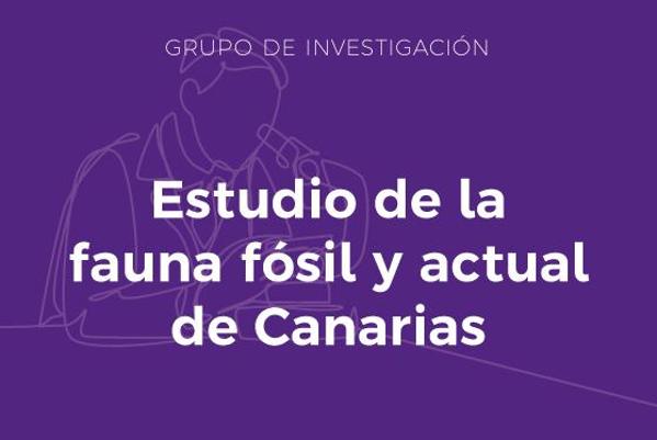 Foto de Estudio de la fauna fósil y actual de Canarias